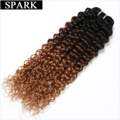 Brazilian Hair Kinky Curly Human Hair