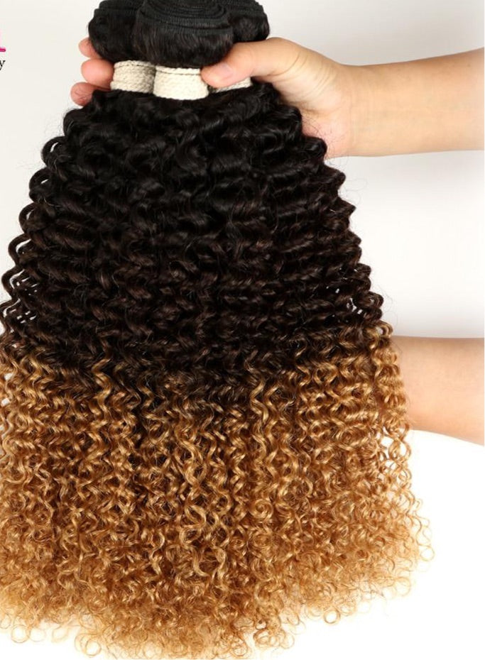 Ombre Brazilian Hair Bundles Kinky Curly Human Hair