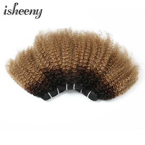 Afro Kinky Curly Hair